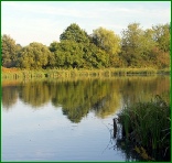 Bourton Lake