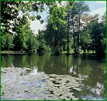 Adlestrop Lake