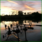 Carp Gallery